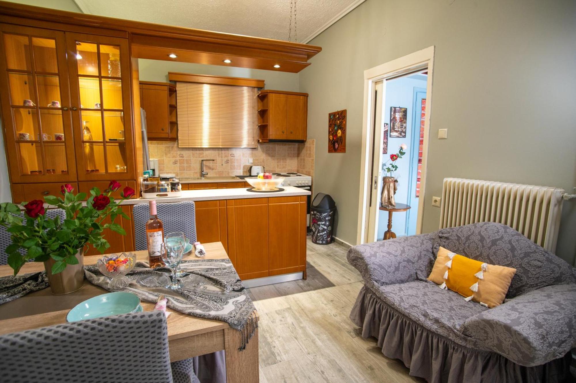 Sea View Nikos Apartment 纳夫普利翁 外观 照片